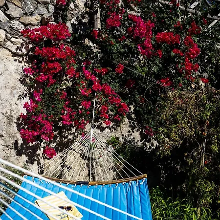 Petrea Lifestyle Suites-3